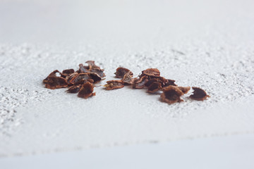 A heap of dried black flower seeds close-up on a white table background. planting season. close up top view copy space