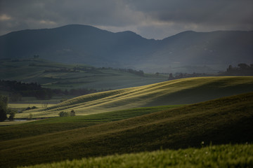 luce del tramonto