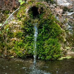 Spring fountain in the woods