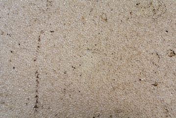texture of a wall