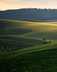 le curve della terra