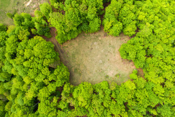 Aerial view of a glade meadow in a green forest