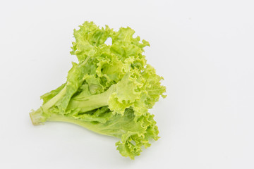 Organic lettuce is safe for consumers.