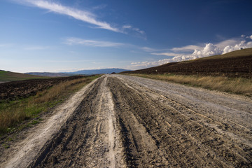Fototapeta na wymiar dry dirt road across south georgia