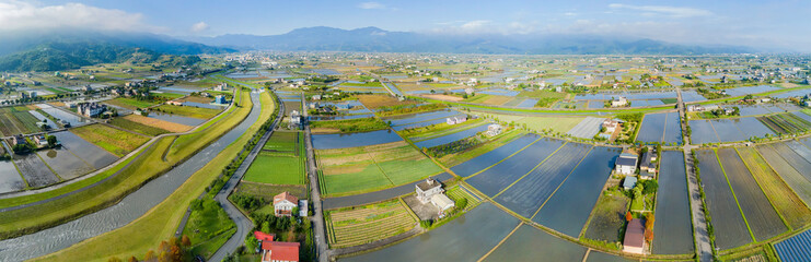 Aerial view of the Taxodium distichum in fall color with red with orange leaves and farm