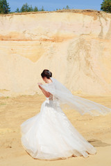 Fototapeta na wymiar beautiful bride in a white dress on the background of a sandy career