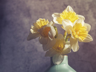 Five daffodils are in a vase on a gray stone background. Image suitable for backgrounds to birthday greeting card, International Women's Day, Mother's Day, Easter