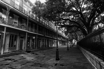 Early morning in the French Quarter, next to Jackson Square