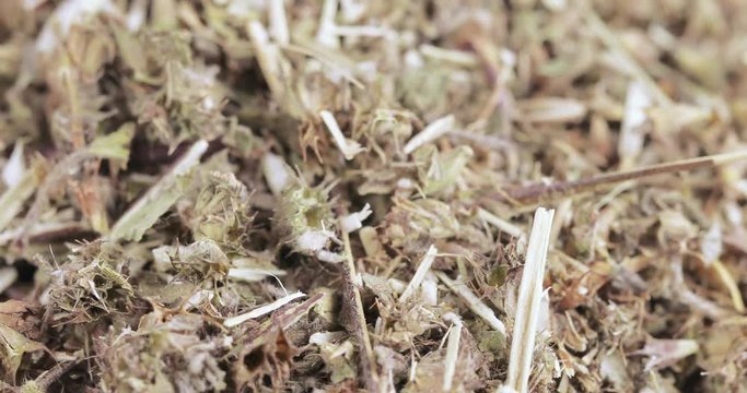 Motherwort grass in bulk