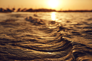 Sea wave on the beach at sunset