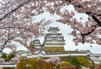 Naklejka premium Ancient Himeji Castle with cherry blossom