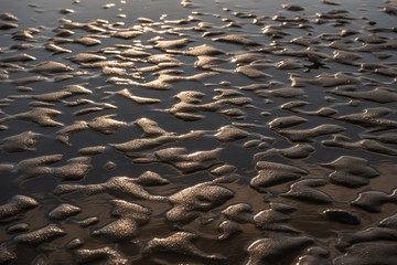pattern on sand beach at sunset with golden reflections