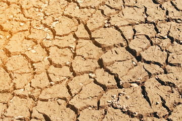 crack earth in the arid area