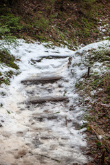 Fototapeta premium frozen ground texture in winter countryside