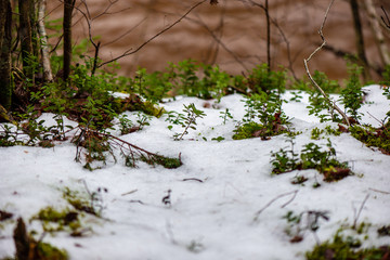 frozen ground texture in winter countryside