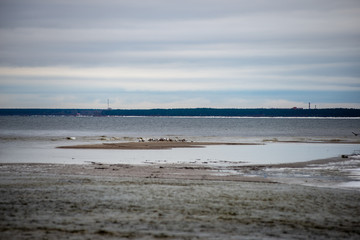 frozen snow covered beach by the sea