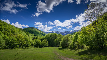 Fototapeta na wymiar A calm nature scenic of a green meadow with a dirt road surrounded by green forest with mountain ridge and blue sky with some clouds