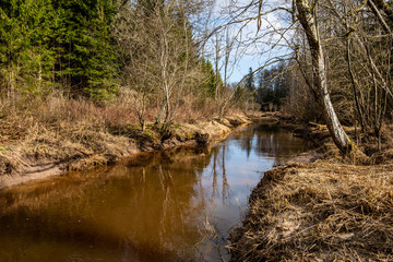 country forest river in early spring with no vegetation on the shores