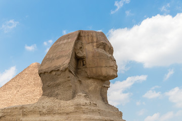 Close-up of a famous Egyptian Sphinx in Egypt