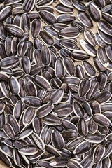 Sunflower seeds against wood for texture or background. Seeds close up. Good harvest. Top view.