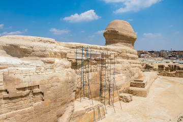 Famous Egyptian Sphinx at Giza from the back side