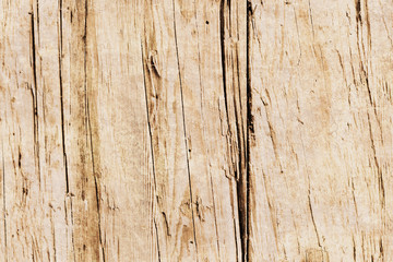 vintage grunge pine timber tree wood structure texture background