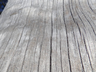 Close up of driftwood for a natural abstraction background