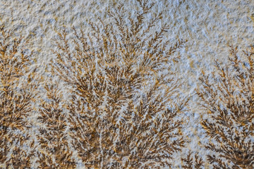 Background or texture of a white stone with gold streaks and veins. Jewelry. Decor.