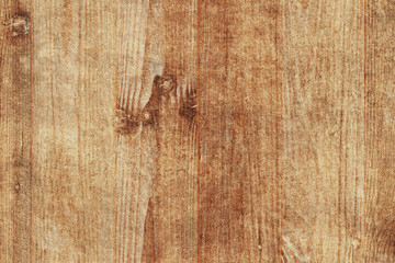 vintage grunge pine timber tree wood structure texture background