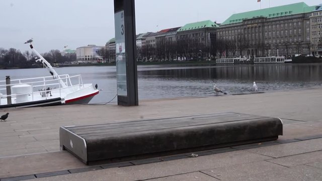 V&ouml;gel in Hamburg an der Alster