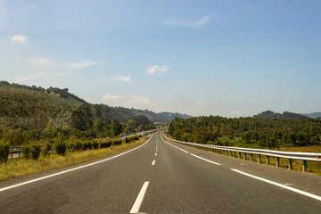 Naklejka premium Empty road in the middle of Europe surrounded by green nature