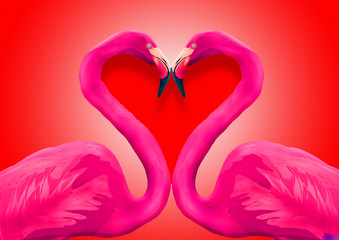 Flamingos put their heads together to form a heart shape for Valentines Day.