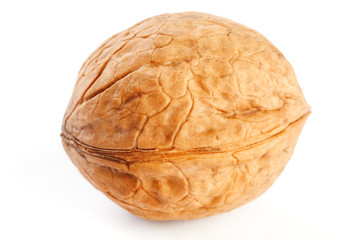 Walnut on white isolated background, clipping path, full depth of field. close up