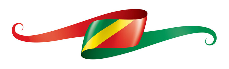 Congo flag, vector illustration on a white background