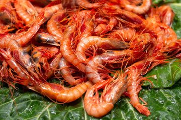 Big fresh natural shrimps on ice. Close up of traditional premium seafood.