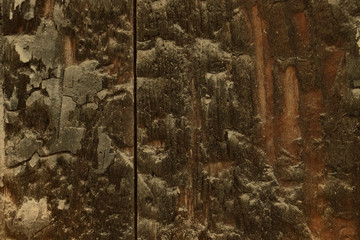 old vintage rustic lumber wood timber tree wooden surface wallpaper structure texture background