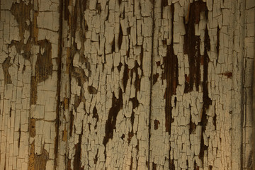 Obraz premium old vintage rustic lumber wood timber tree wooden surface wallpaper structure texture background