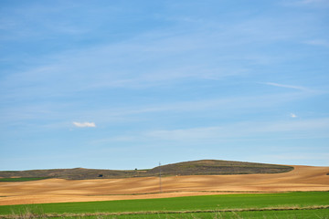 Obraz premium Landscape in spring with fields full of brown and green colors