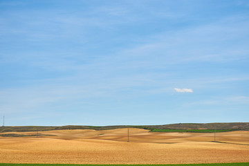Obraz premium Landscape in spring with fields full of brown and green colors