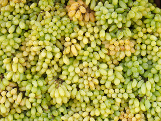 Green grapes in South India, Kochi, Kerala