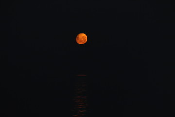 luna roja 