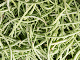 Green indian bean pods, Kochi, Kerala, India