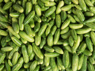 Green indian cucumbers, Kochi, Kerala, India
