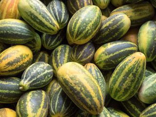 Yellow indian cucumbers, Kochi, Kerala, India