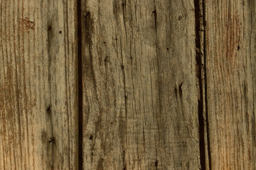 old vintage rustic lumber wood timber tree wooden surface wallpaper structure texture background