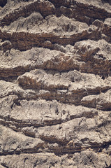Palm tree trunk close up picture, natural background or texture, color toning applied, selective focus.