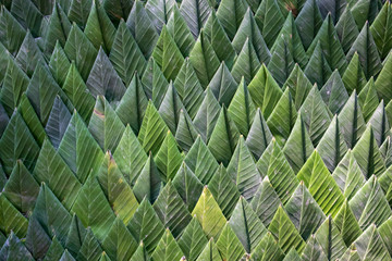 folding Krathong it's made with banana leaves