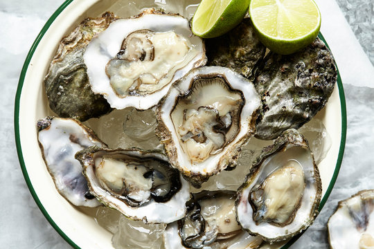Raw Oysters served on ice in round enamel bowl