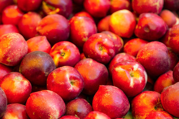  nectarines on the counter in the store