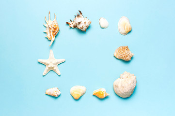 Summer concept, marine background. Frame of different seashells and starfish on pastel blue background. Top view, flat lay, copy space. Sea summer vacation background. Travel, marine souvenir